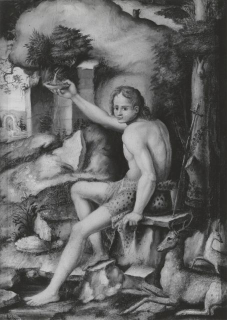 Bob Jones University Museum and Gallery Photographic Studios — John the Baptist in the Wilderness by il Bacchiacca — insieme